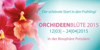 Orchideenblüte2015 in der Biosphäre Potsdam
